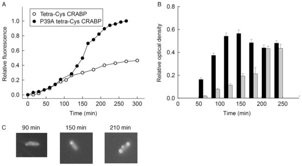 Fig. 2