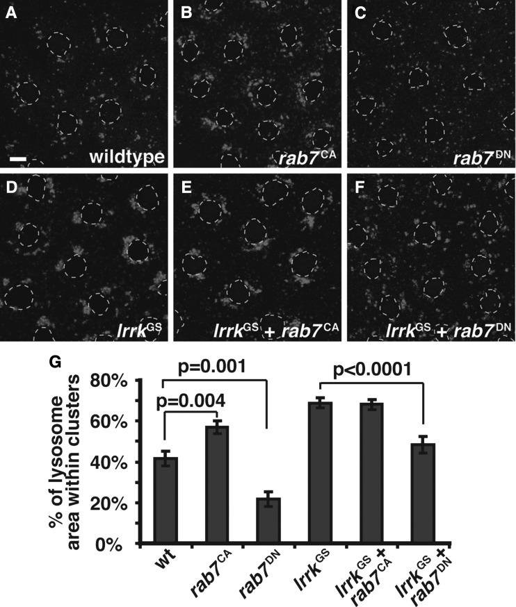 Figure 6.