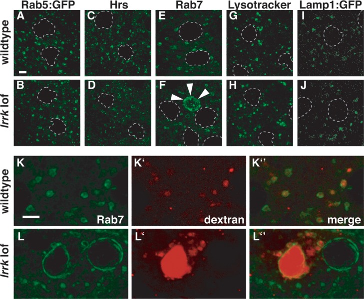 Figure 3.