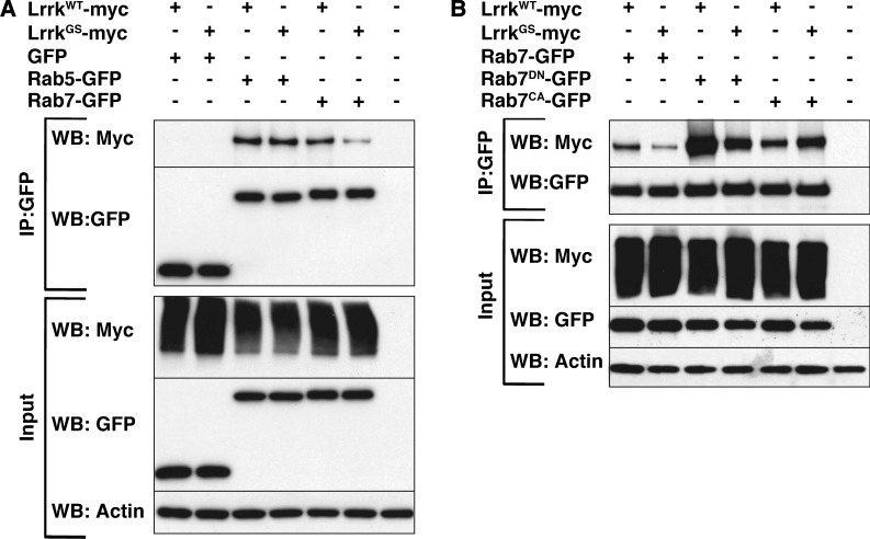 Figure 7.