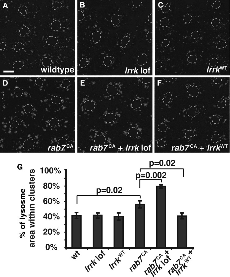 Figure 4.