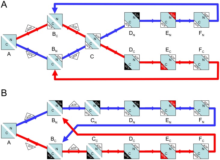 Figure 12