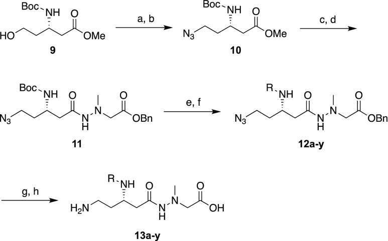 Scheme 1