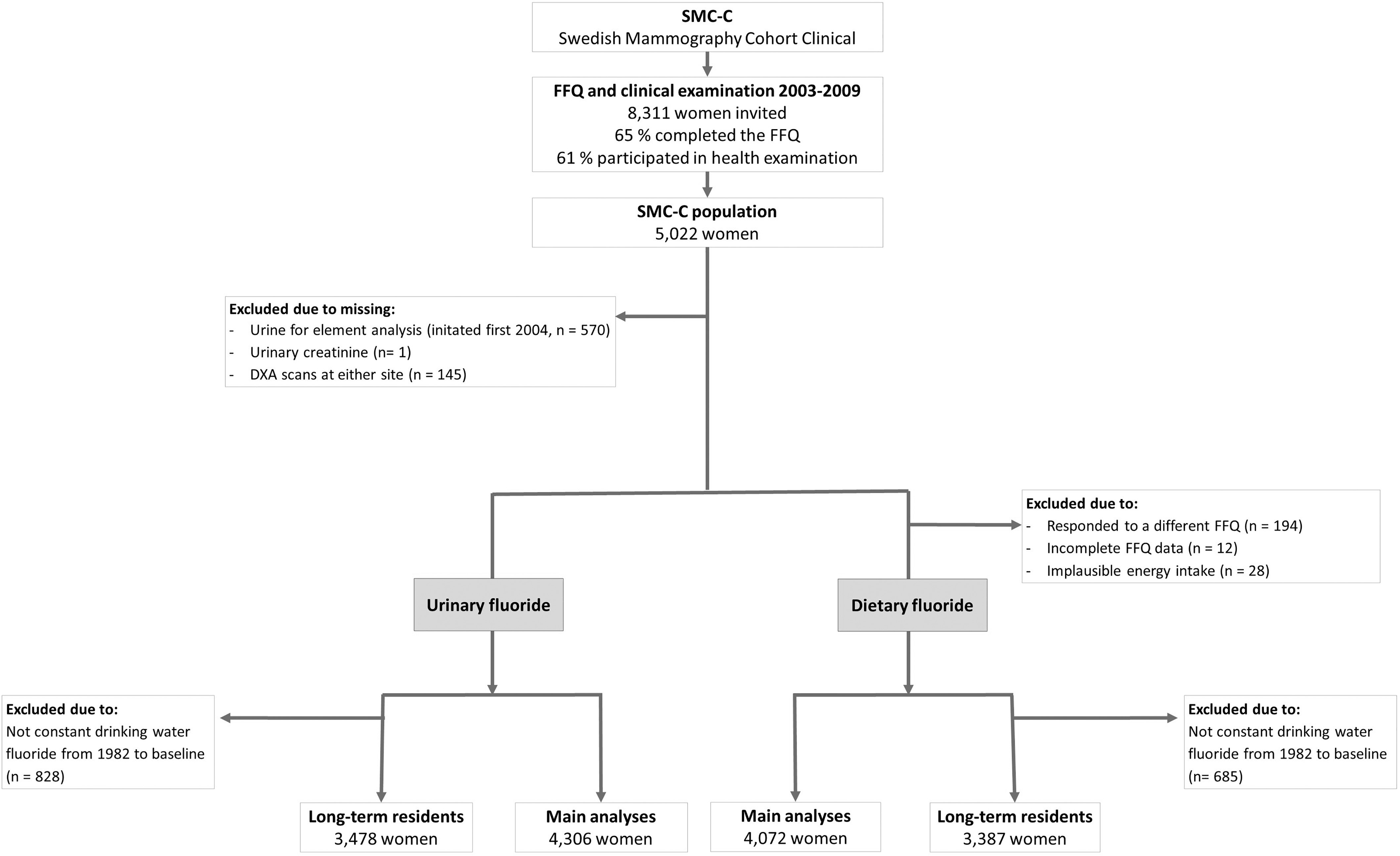 Figure 1 is a flowchart comprising four steps. Step 1: Swedish Mammography Cohort-Clinical leads to food frequency questionnaire and clinical examination from 2003 to 2009, where 8311 women were invited, 65 percent completed the food frequency questionnaire, and 61 percent participated in health examination. Step 2: This leads to an exclusion of following: 1) 570 women for missing urine for element analysis, which was first initiated in 2004; 2) 1 woman for missing urinary creatinine; and 3) 145 women for missing DEXA scans at either site, and then gets segregated into Urinary fluoride and Dietary fluoride. The segregation into Dietary fluoride is done after an exclusion of the following: 1) 194 women, who responded to a different food frequency questionnaire; 2) 12 women, who left incomplete food frequency questionnaire data; and 3) 28 women, who had implausible energy intake. Step 3: Urinary fluoride is further segregated into two categories, namely, Long-term residents, comprising 3478 women, after and exclusion of 828 women for not constantly drinking water fluoride from 1982 to baseline, and Main analyses, comprising 4306 women. Step 4: Dietary fluoride is further segregated into two categories, namely, Main analyses, comprising 4072 women and Long-term residents, comprising 3387 women, after and exclusion of 685 women for not constantly drinking water fluoride from 1982 to baseline.