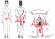 Figure 21