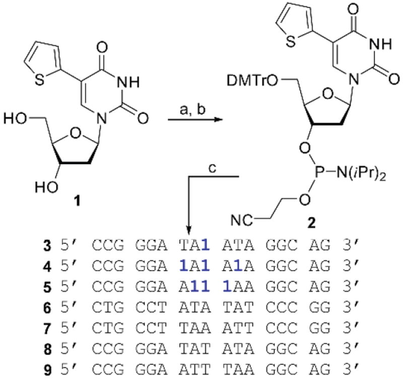 Scheme 1