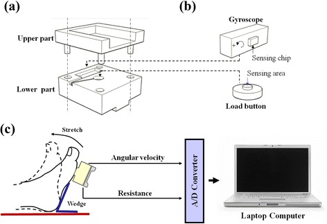 Fig. 2