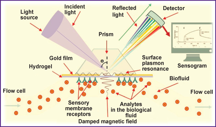 Figure 5
