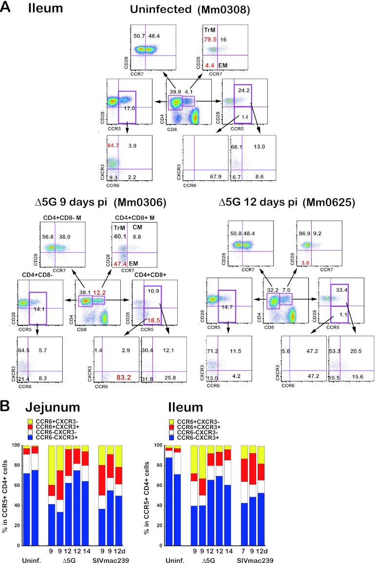 Fig 6