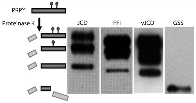 FIGURE 4-2