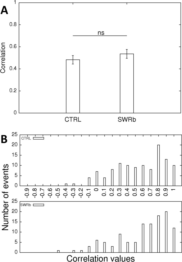 Fig 10