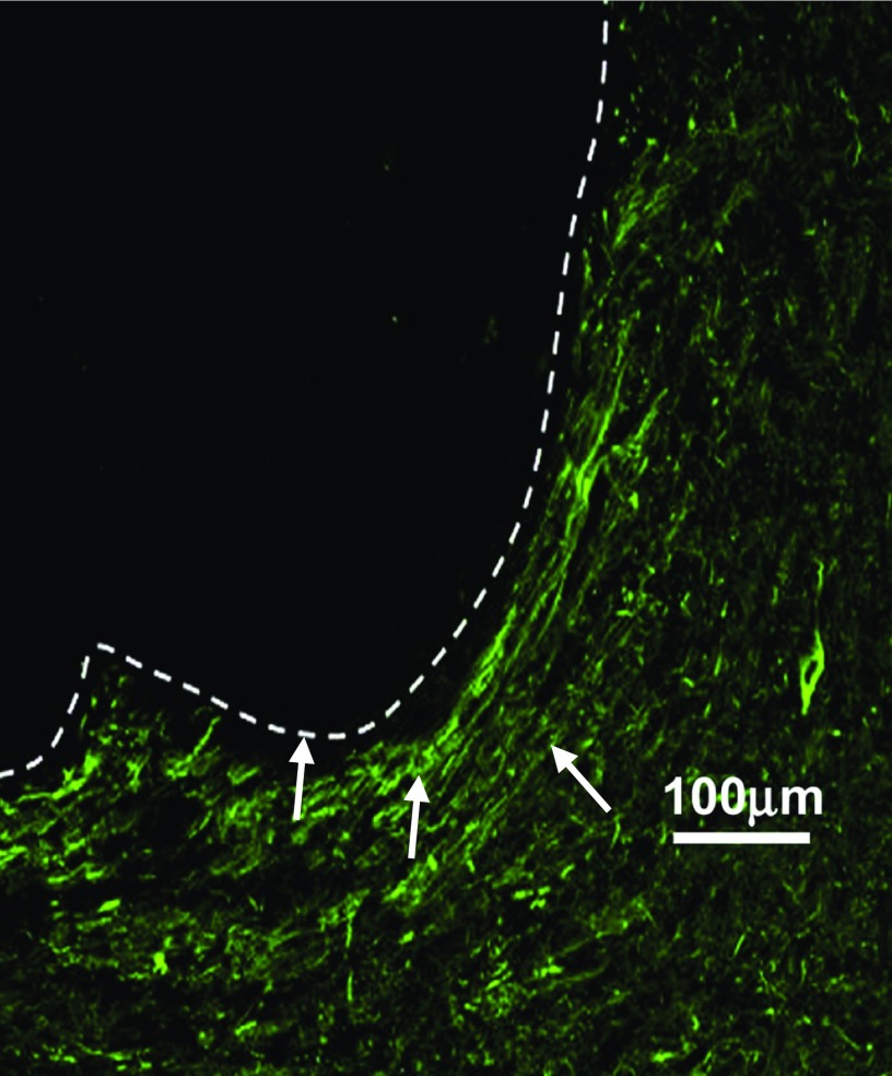 FIG. 1.