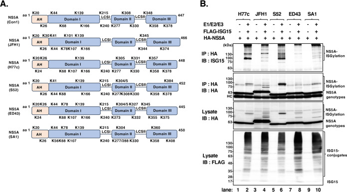 FIG 6