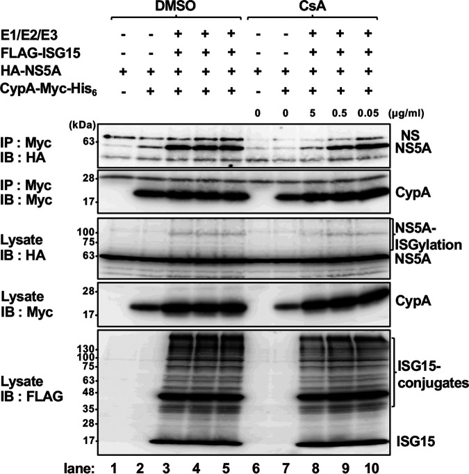 FIG 12