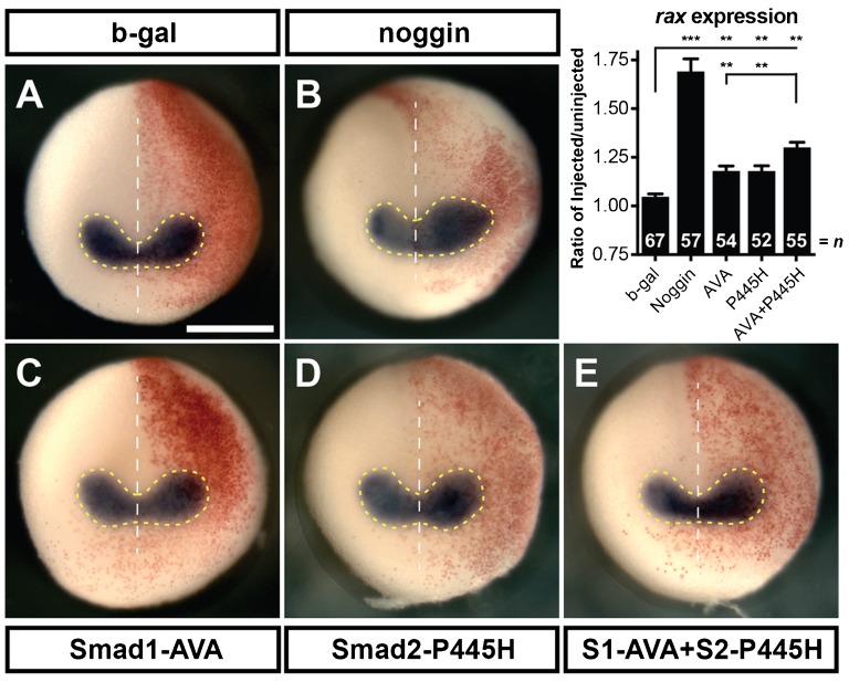 Fig. 4.