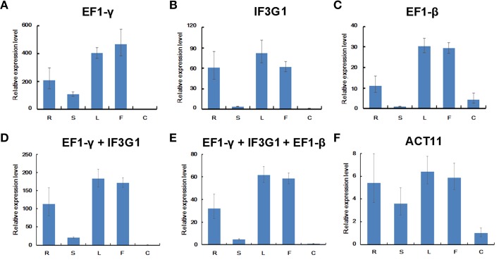 Figure 6