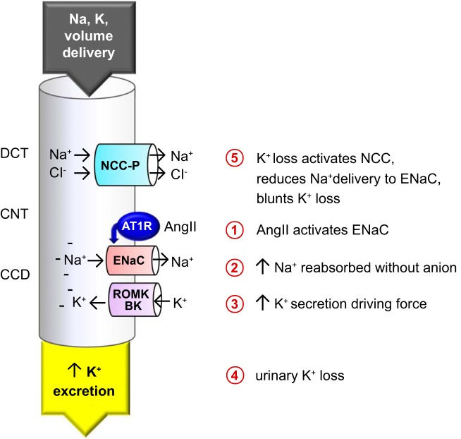 Fig. 7.