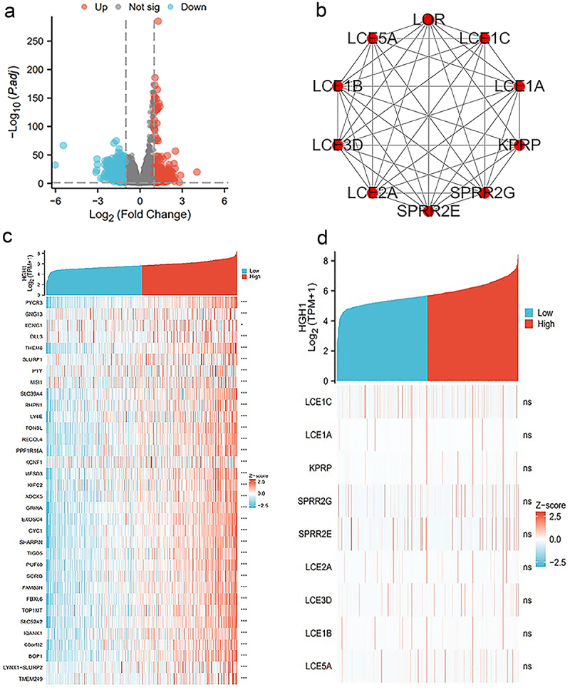 AltText: The 35 hUB genes most associated with HGH1 expression.