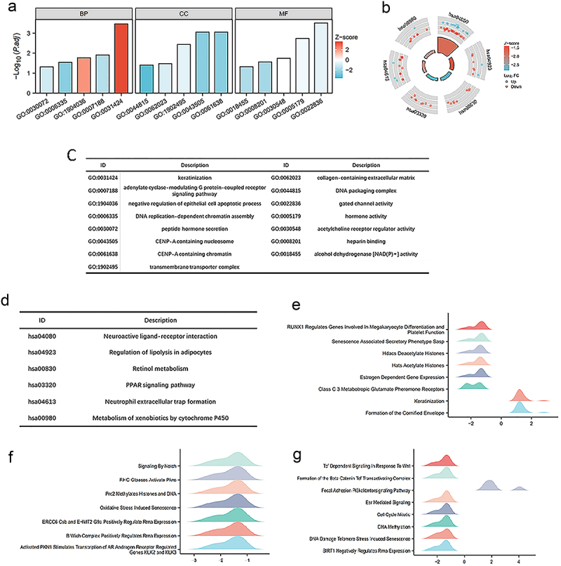 AltText: GO, KEGG, GSEA functional enrichment analysis of HGH1 and differential genes.