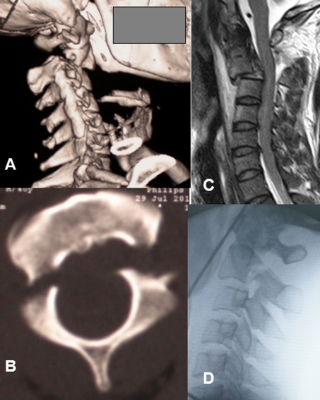 Fig. 3