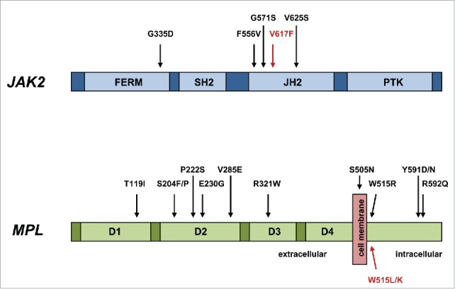 Figure 2.