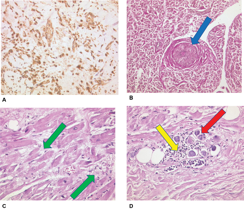 Fig. 6