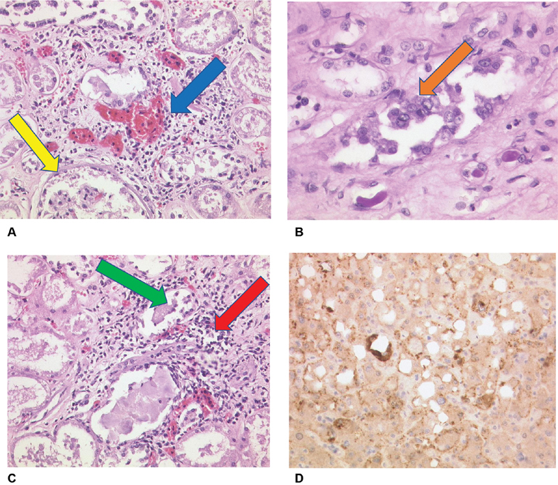 Fig. 7