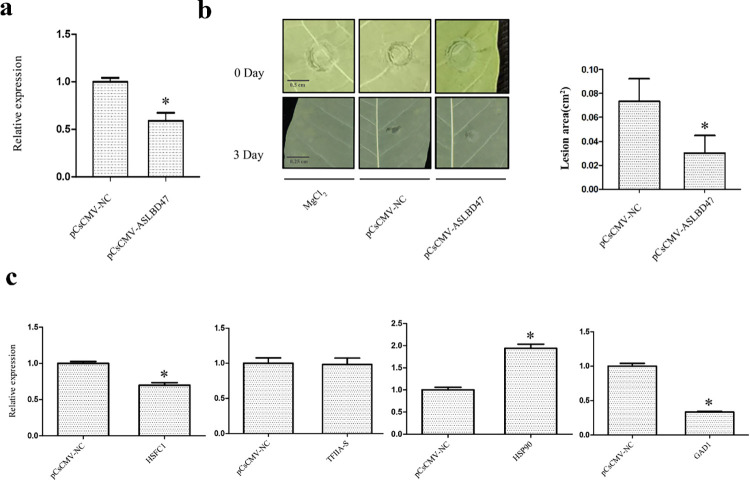 Fig 12