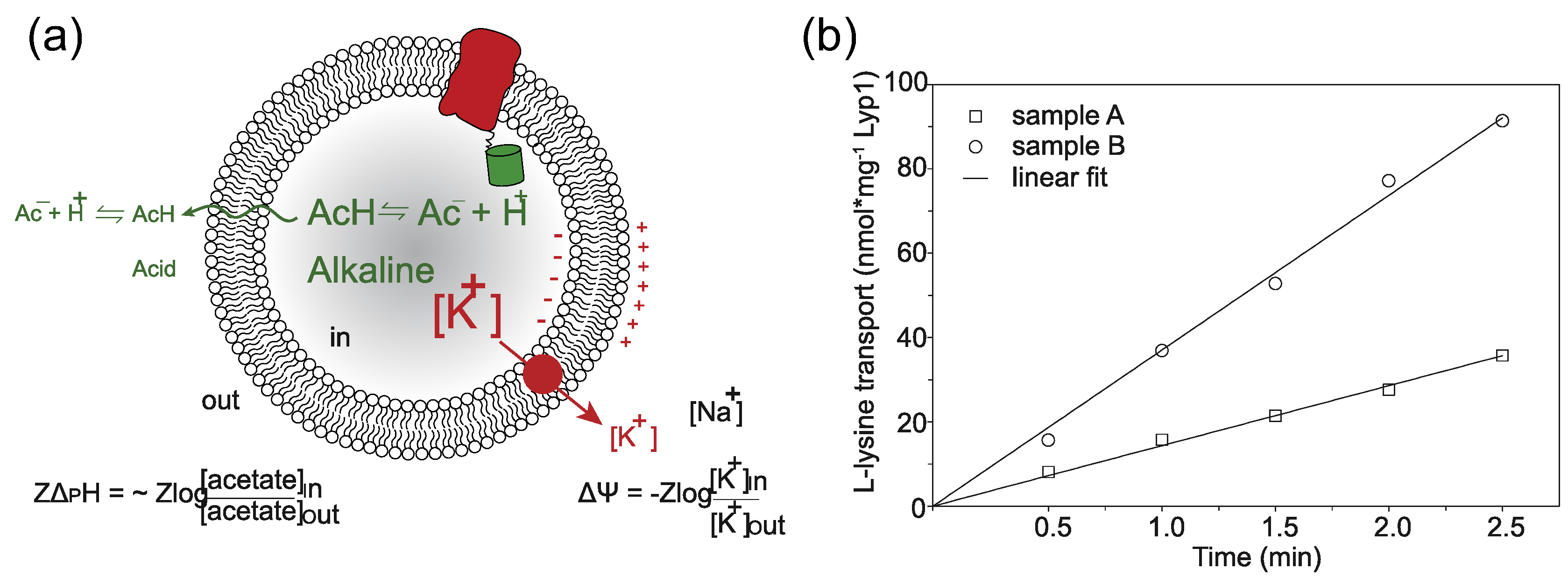 Figure 1.