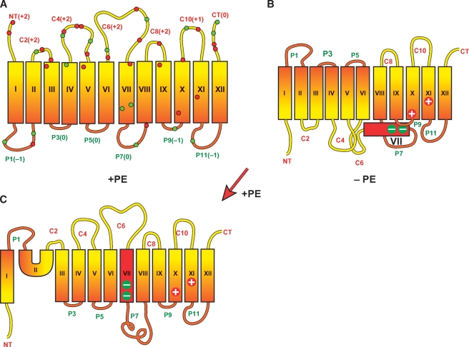 Fig. 2.