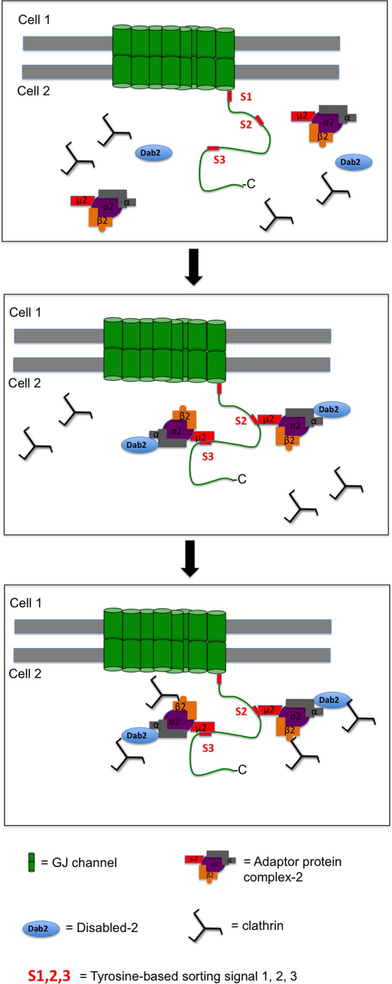 FIGURE 8: