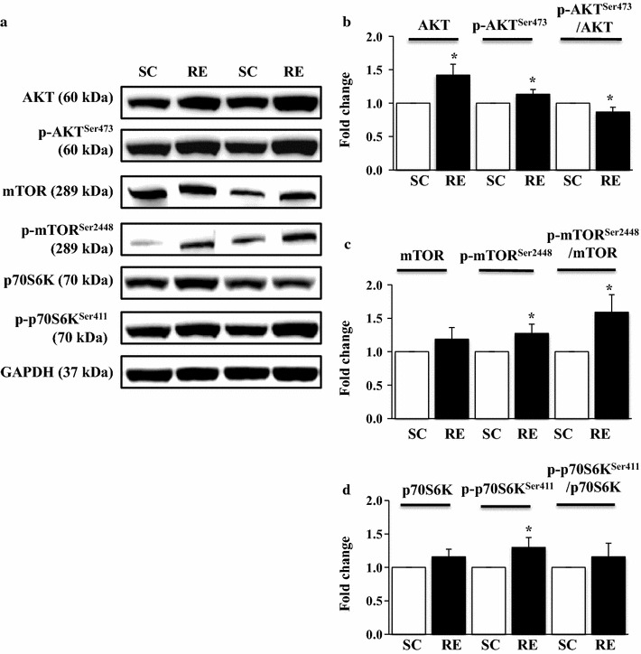 Fig. 2