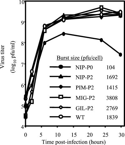 FIG. 2.