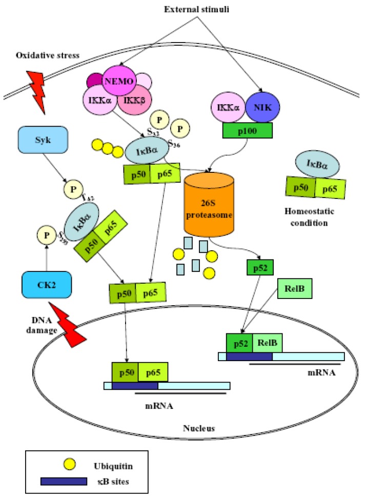 Scheme 2