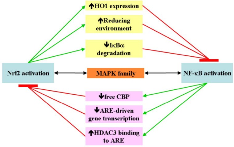 Scheme 3