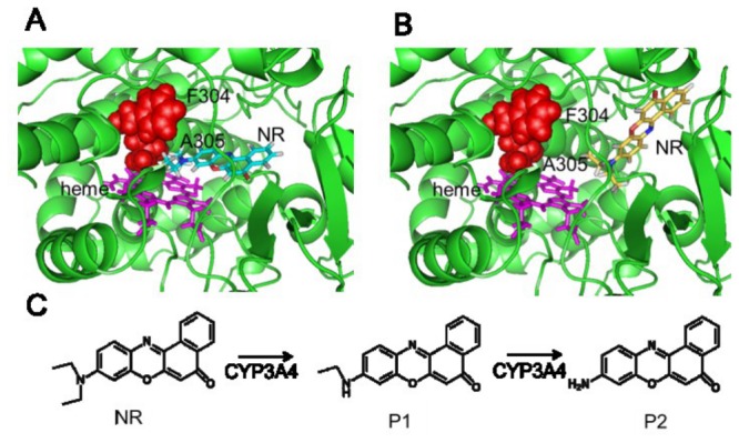 Figure 6