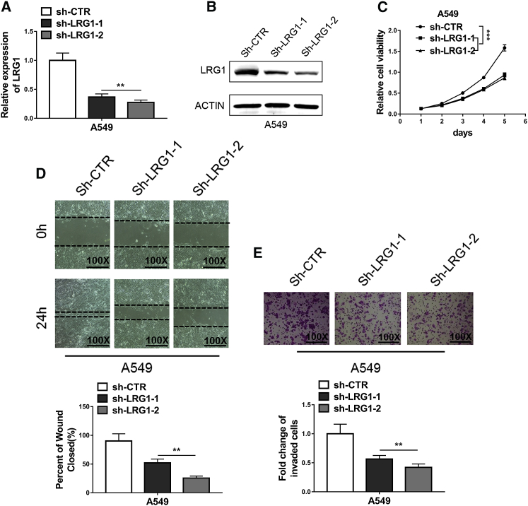 Figure 2