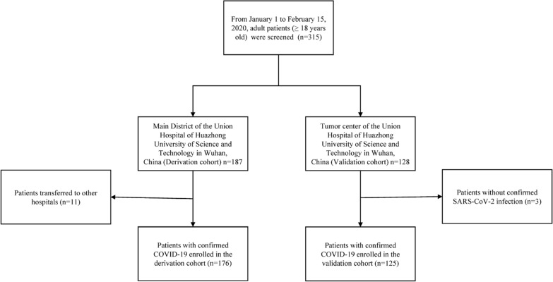 Fig. 1