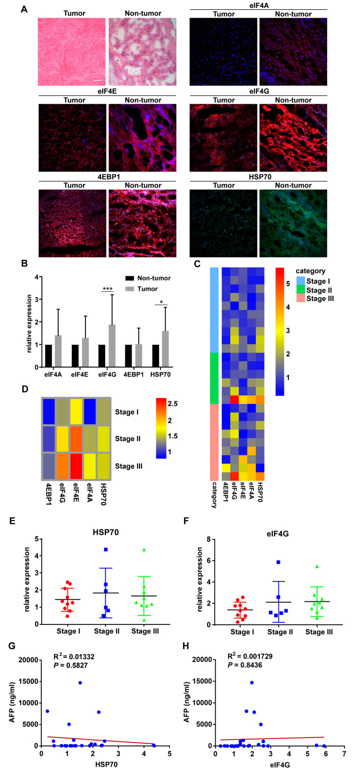 graphic file with name cancers-12-03410-g002.jpg