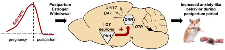 Figure 5: