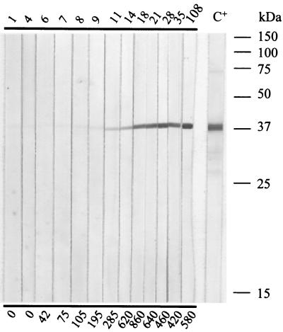 FIG. 7.