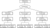 FIGURE 1—