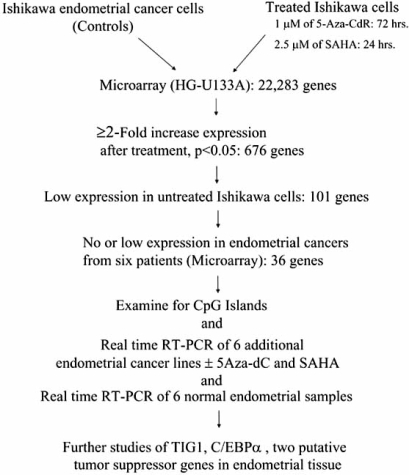 Fig. (1)