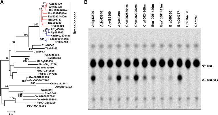 Figure 12.