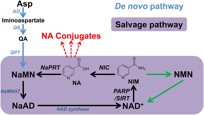 Figure 1.