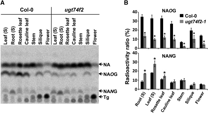 Figure 7.