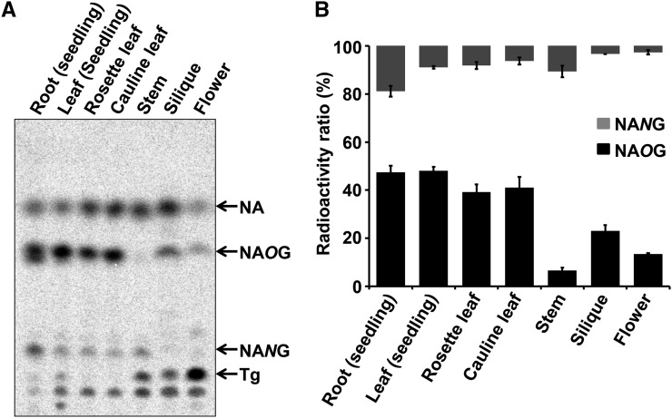 Figure 4.