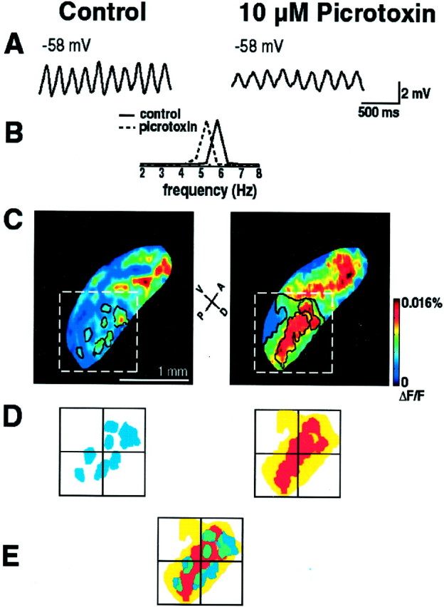 Fig. 6.