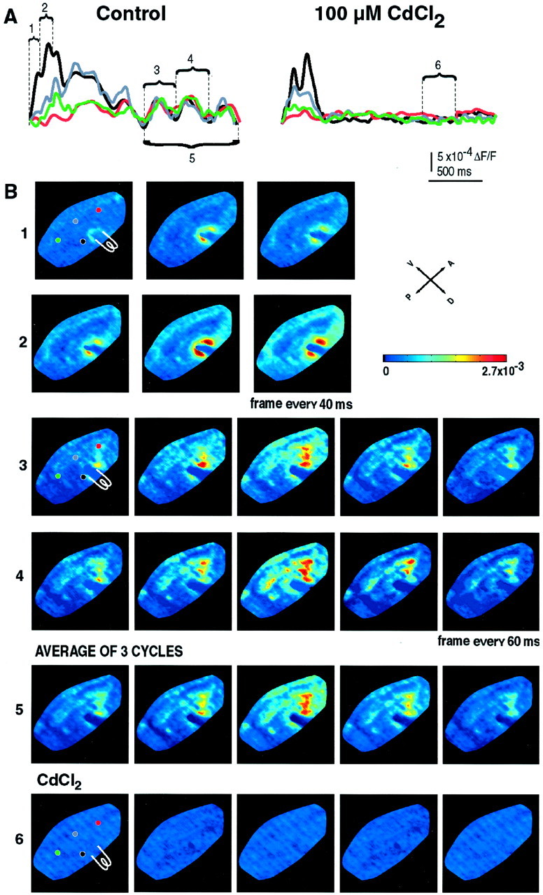 Fig. 4.