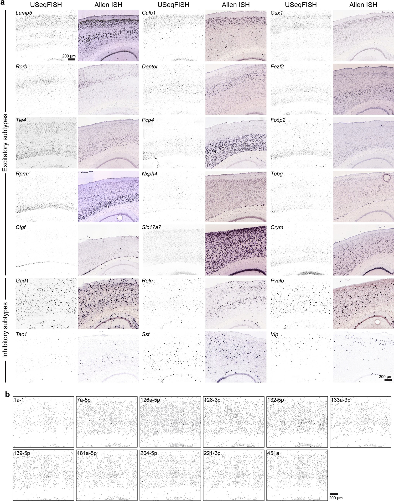 Extended Data Fig. 8 |